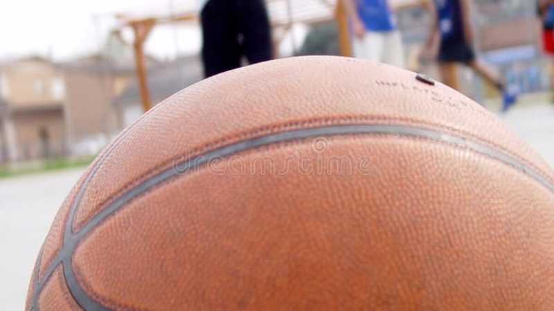 现代园林景观设计风格解析：价格与风格的平衡之道