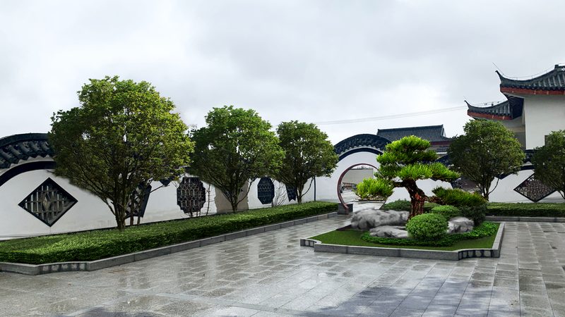 商场绿植租赁，如何选择专业供应商？**