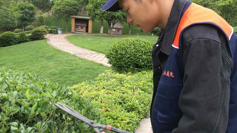 小型园林设计公司注册要求：关键要素与合规要点**