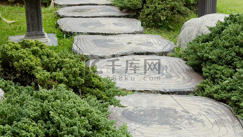 绿植租摆与购买：如何选择最适合您的方案