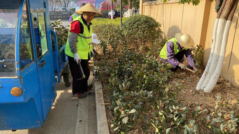 屋顶绿化防水选材：关键点与误区解析