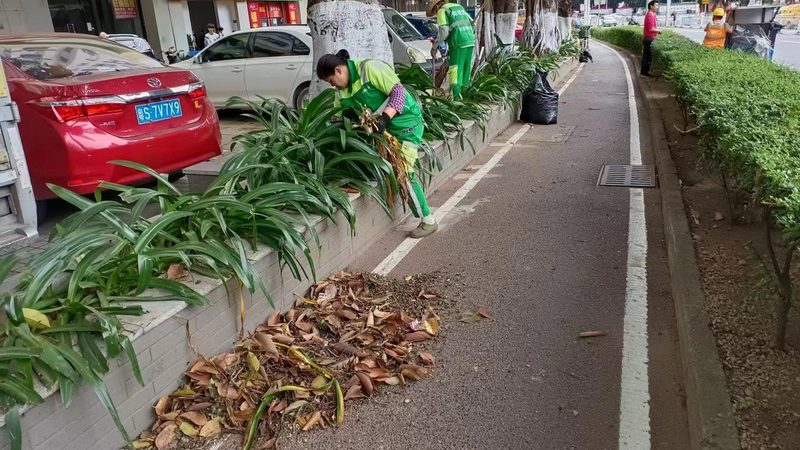 上海花卉租摆十大品牌