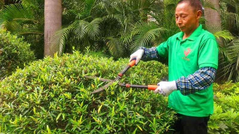 商业庭院设计规范标准全文解读