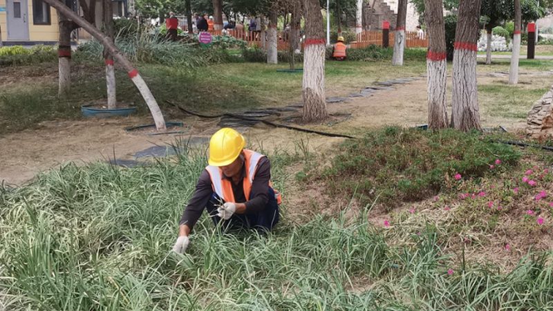 迷你庭院设计：打造私人绿色空间的秘密**