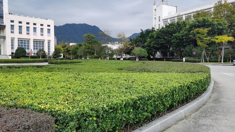 别墅花园设计公司服务流程揭秘：从规划到成型的秘密