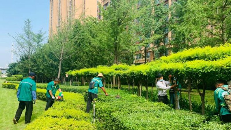 道路绿化造价清单的构成要素及注意事项